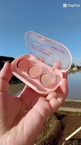 #fyppppppppppppppppppppppp #xyzbca #eyshadow #affiliatepemula 