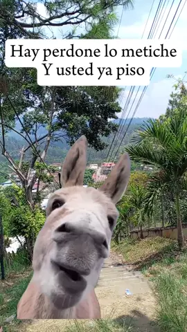 #CapCut no más es contenido 🤣🤣