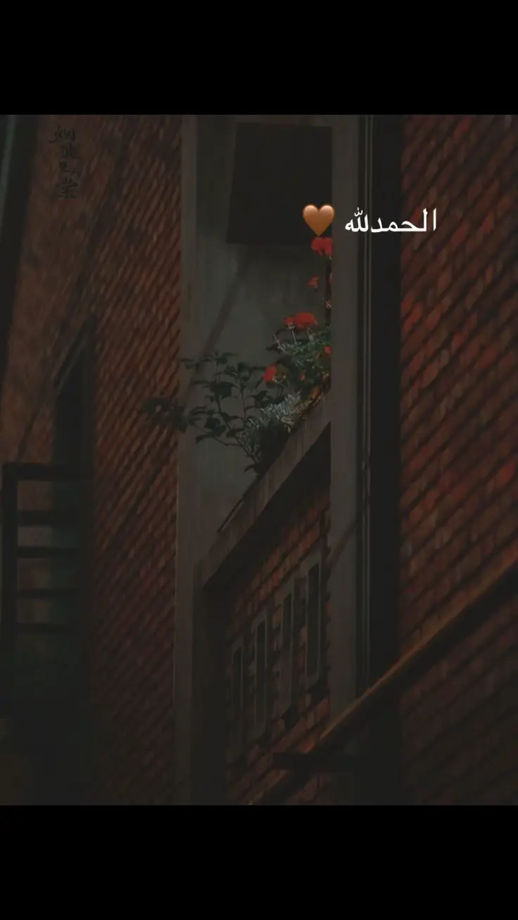#القران_الكريم #بدر_المشاري #tiktok #اكسبلور #الشعب_الصيني_ماله😂 #الشعب_الصيني_ماله😂 #الرحمن 
