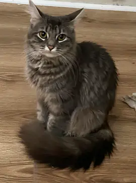 #dance #trending #viral #fyp #funny 😂😂😂