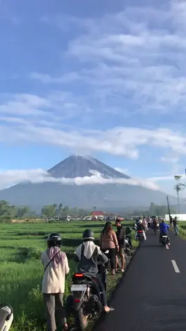 kalian kapan kesini?  #terassemeru #pronojiwolumjang #pronojiwo #semeru #explorelumajang 