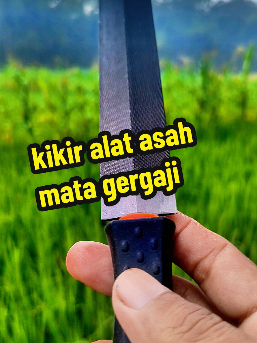promo kikir untuk mengasah mata gergaji biar tajam lagi