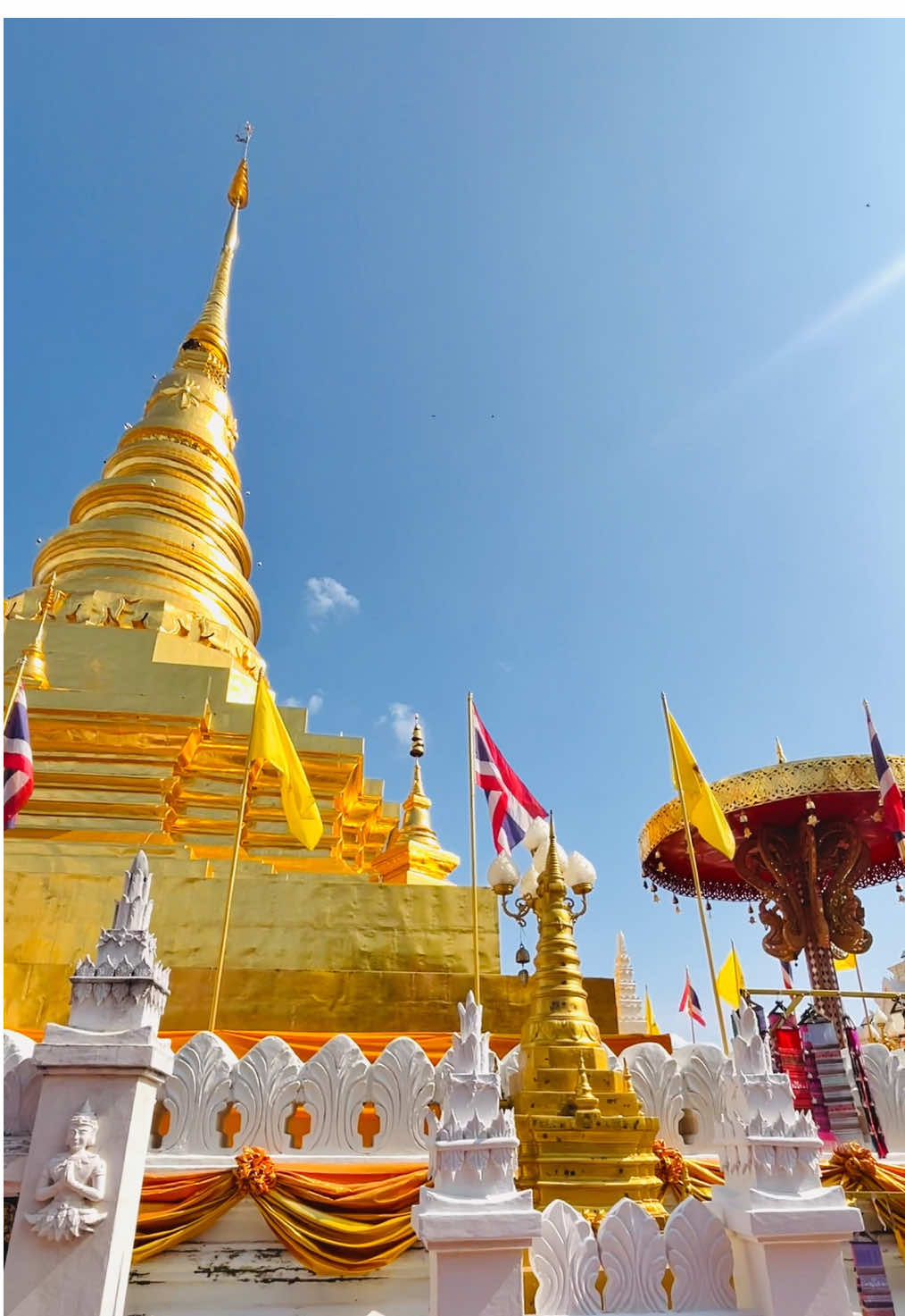 วัดพระธาตุเเช่เเห้งพระอารามหลวง 🙏🏻🙇‍♀️✨#น่าน #ฟีดดดシ #เปิดการมองเห็น #เพลงเพราะ #ตามจังหวะ #วัดสวย #ธรรมชาติ 