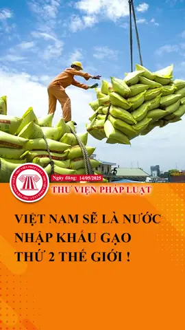 Việt Nam sẽ là nước nhập khẩu gạo lớn thứ 2 thế giới ! #TVPL #ThuVienPhapLuat #LearnOnTikTok #Hoccungtiktok