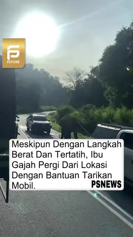 kasian🥺 #beritaterkini #berandaviral #lyodra #beritaterbaru #beritatiktok #berandatiktok #terbaru #viral #fypviralシ #beranda #lyodra #randymartin #terbaru #viral #fypviralシ #fyp #beranda #foryoupage #bestcouple #mylyodra #trending #gajah #sampaikanrindu #beritaviral 