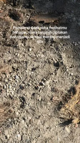 #fyp 