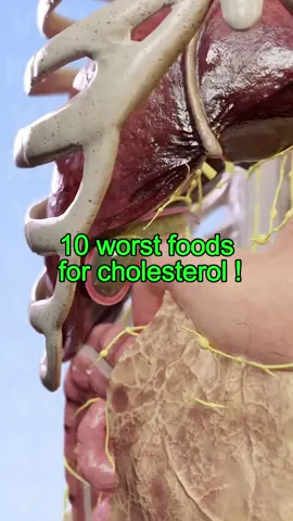 10 worst foods for cholesterol!#healthy #body #DidYouKnow #healthtips #usaus #fyp 
