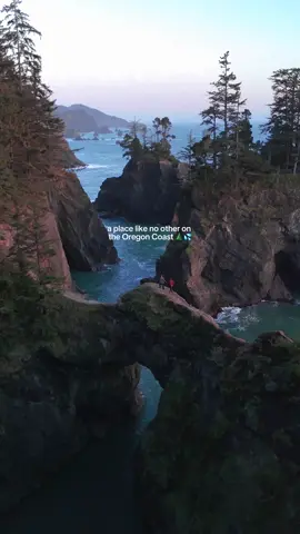 🌊🌲⛰️send this to someone you want to visit here with!  📍Natural Bridges, Oregon  Tucked along the southern Oregon Coast, Natural Bridges feels like something straight out of a fantasy movie. Rugged cliffs, crashing waves, and giant rock arches carved by the ocean. This spot has to be one of the most jaw-dropping views on the coast. Things to Know: 📍 Location: Samuel H. Boardman State Scenic Corridor 🚗 Accessibility: Right off Highway 101 with a parking area 📸 Best Time to Visit: Sunset or after a storm for dramatic skies ⚠️ Important Tip: Stick to marked paths unless you’re very confident, the unofficial trails are steep and can be dangerous if you’re not careful.  #oregon #nature #coastalvibes #hiddengems #roadtrip #bucketlist #travel #oregoncoast #naturalbridges