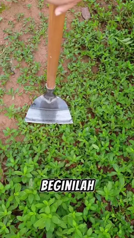 cangkul rumput import kualitas super