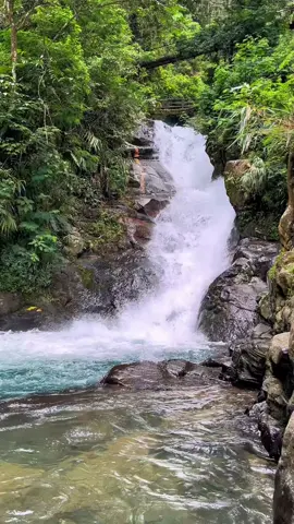 Main kemana lagi hayooo⁉️Save dulu buat nanti‼️ - - - - [SAVE LIKE SHARE] Guys!!! Coba ke sini yuk ⛰💦🌿 Lokasinya di Curug Panjang, Megamendung – udara sejuk❄️, suara air terjun yang bikin tenang 💧, dan view-nya cakep banget buat healing + konten IG! Biar temen-temen iri dikit gituu 😜📸✨ Mau info lengkap? Langsung DM aja ke IG yang ada di video ya! 📲 WAJIB KESINI‼️ 📍 Curug Panjang, Megamendung – Bogor, Jawa Barat #curugpanjang #megamendung #bogorhits #wisatabogor #airterjunindonesia #healingdulu #liburanmurah #WeekendVibes #pesonaindonesia #wonderfulindonesia #naturelovers #jalanjalankuy #reelsindonesia 