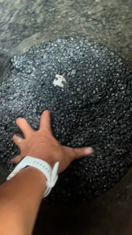 Chỉ có Roaster mới hiểu . Một lần cúp điện, máy càng lớn tổn thất càng nhiều, cà phê than #robusta #caphenguyenchat #mingcoffee #caphevietnam #mingcoffee 