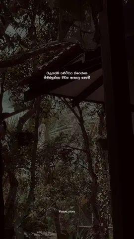 🥺