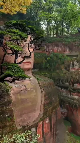 #CapCut #dhamma #buddha #foryou #fyp #ပါချုပ်ဆရာတော်ဘုရာကြီး🙏🙏🙏 