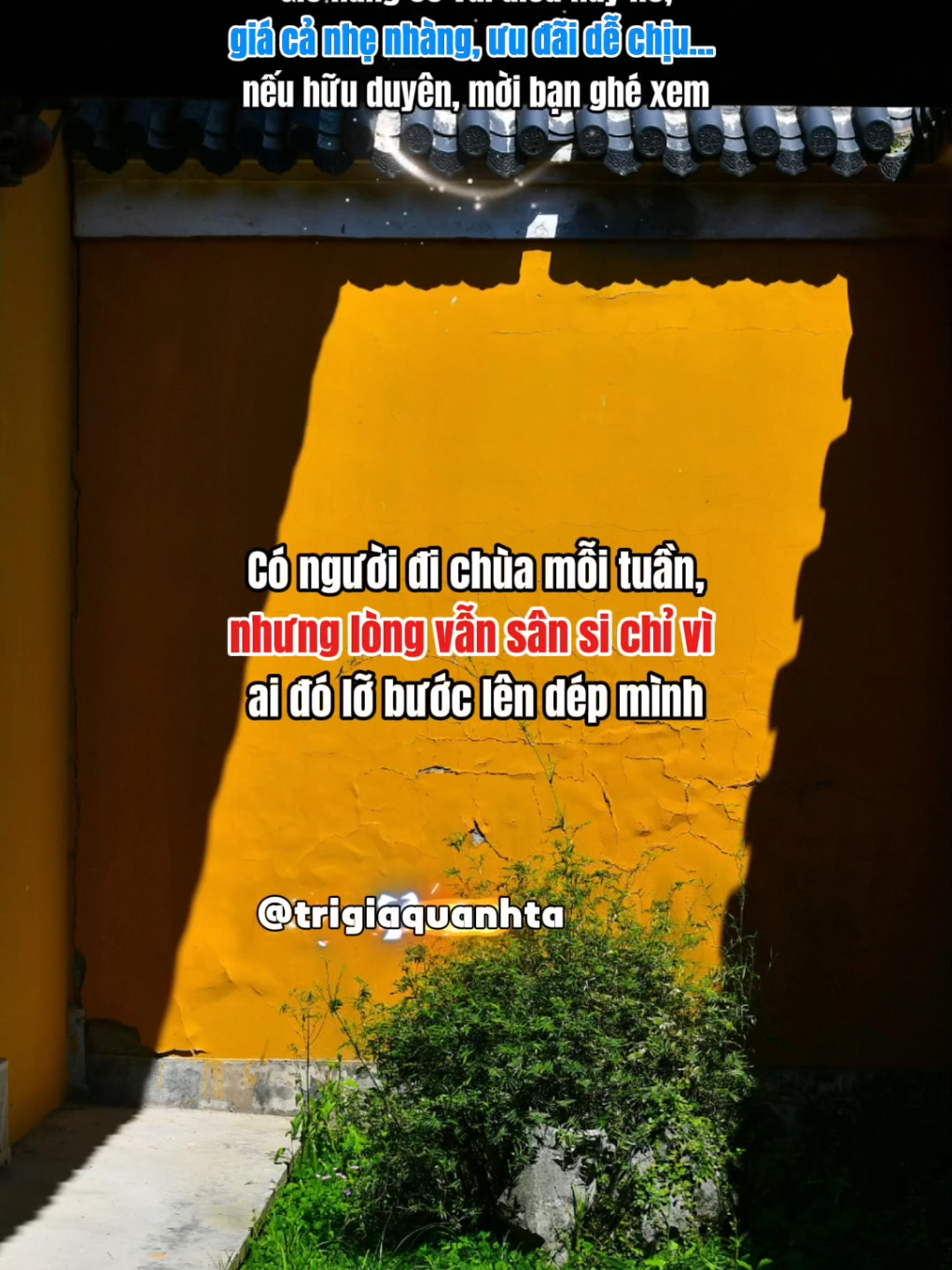 Ngồi thiền không khó, Khó là ngồi giữa cuộc đời mà tâm không xao động.. #trigiaquanhta #phattrienbanthan #fyp 