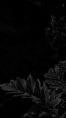 pasti sepi lagi🗿 #storytime #katakata  #statusharian #storywa  #storygabut 