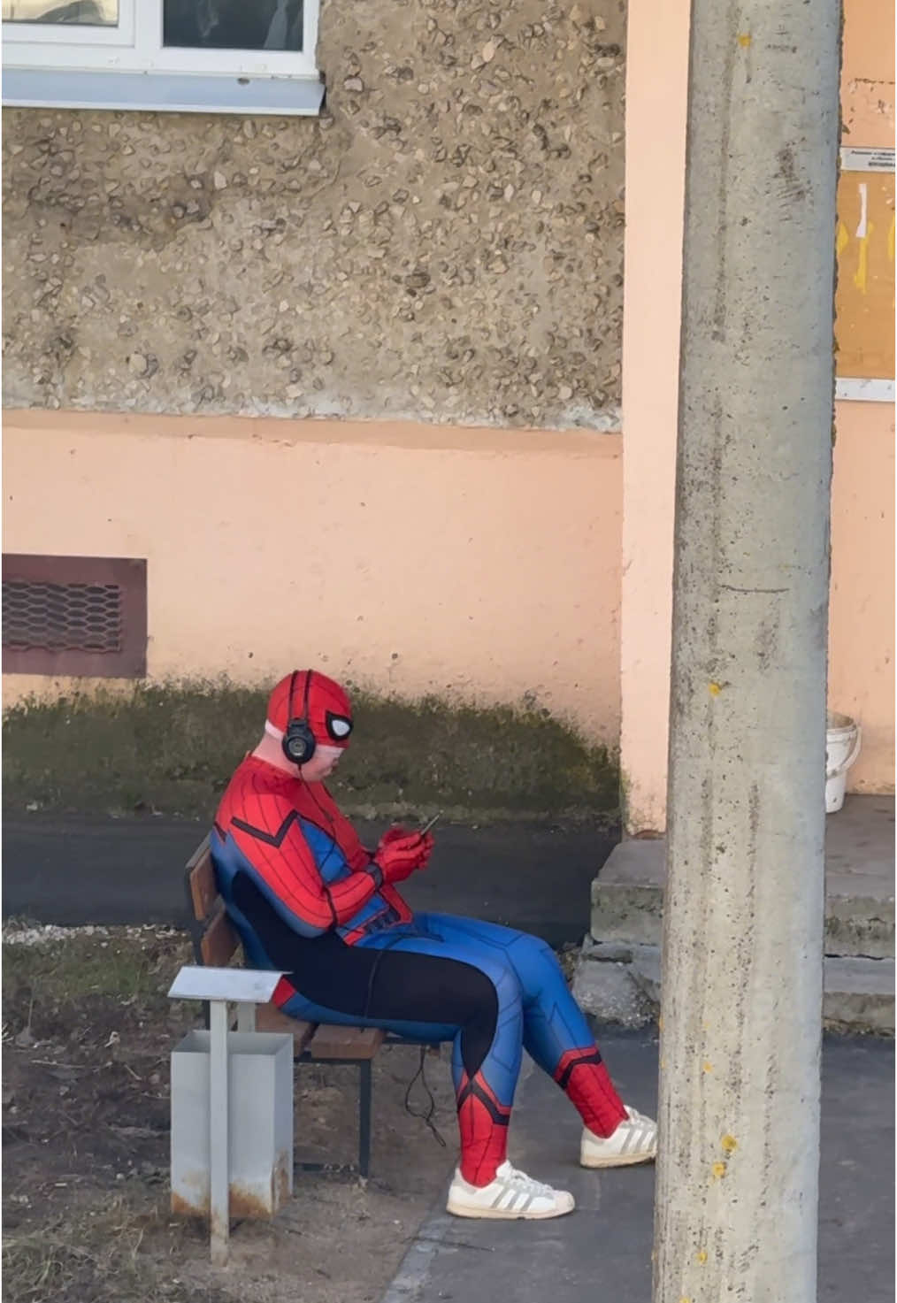 Вот так и сидит весь май #май #тепло #солнце #паук #шкобау #релиз #ласковаялилия #музыка #шансон 