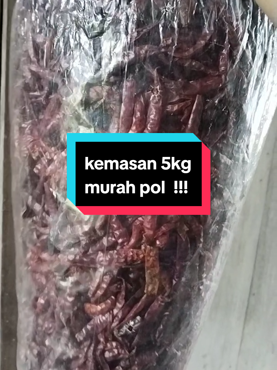 cabe kering murah dulur #cabeindia #cabekeringmurah #cabeteja #cabehariini #cabekeringimport #cebekering1kg #cabe #cabeimport  #cabekering 