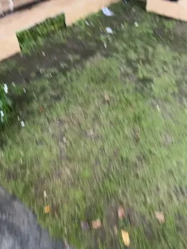 #fizr #rxking #twostroke #tulungagung24jam #abi 