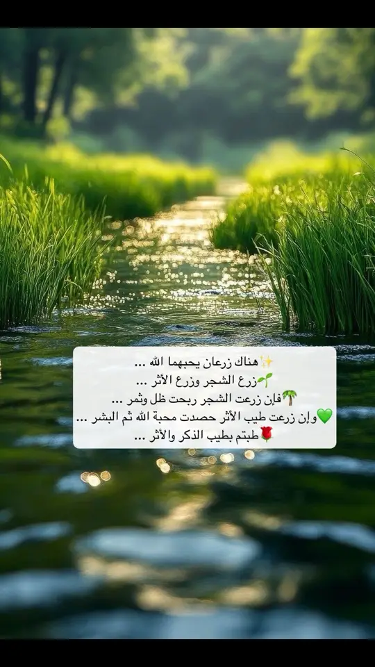 زرعان يحبهما الله 