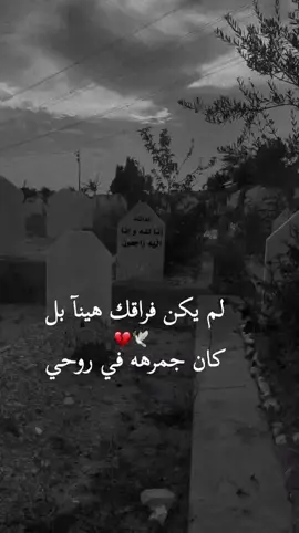 #احضنوا أحبتكم فقد رحل فقيدي دون وداع#💔💔💔 #الله يرحمك ويتقبلك من الشهداء يا أخي #اخخخخخخخخخخخخخ💔💔💔💔💔💔💔 #فقيدي_اشتقت_ٳليك #اخي #حسبنا_الله_ونعم_الوكيل #يارب 