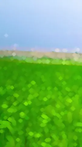 #foryou #foryoupage #fyppppppppppppppppppppppp #md_hassan_017 