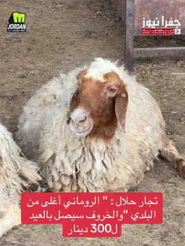 #ghufran_brqawi #الأردن #الأردن🇯🇴 #الاردن_فلسطين_العراق_سوريا #عيد_الاضحى 