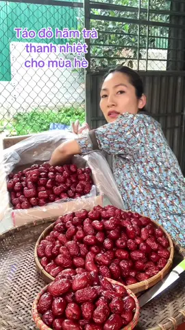 Táo đỏ nên ăn mấy quả/ngày #xuhuongtiktok #covanchamchi @Vương Thị Tuyết Nhung @HTX Vương Ngọc Thảo Kênh Chính @Nguyễn Thị Thuỳ Vân @Nguyễn Vân JumPing Dance 