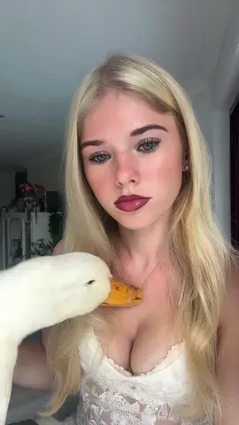 ducky #duck 