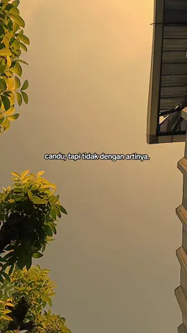 setelah ba'ad gheyabo terbitlah batman ansak🥺🥀 #CapCut #fyppppppppppppppppppppppp #masukberanda #batmanansak #sherineabdelwahab #arabicsong #sadvibes #foryoupagе #4u 