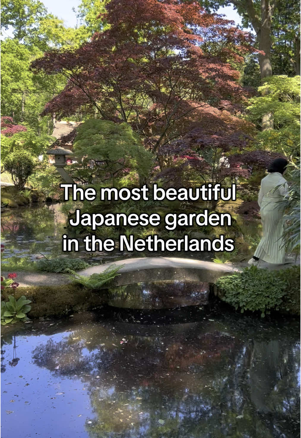 The beautiful Japanese garden in The Hague is open only for a few weeks per year. It is completely free to visit. The number of people that enter is controlled to avoid overcrowding inside. In 2025 the garden is open from 26th April till 9th of June Opening hours: 10am - 8 pm #thingstodo 