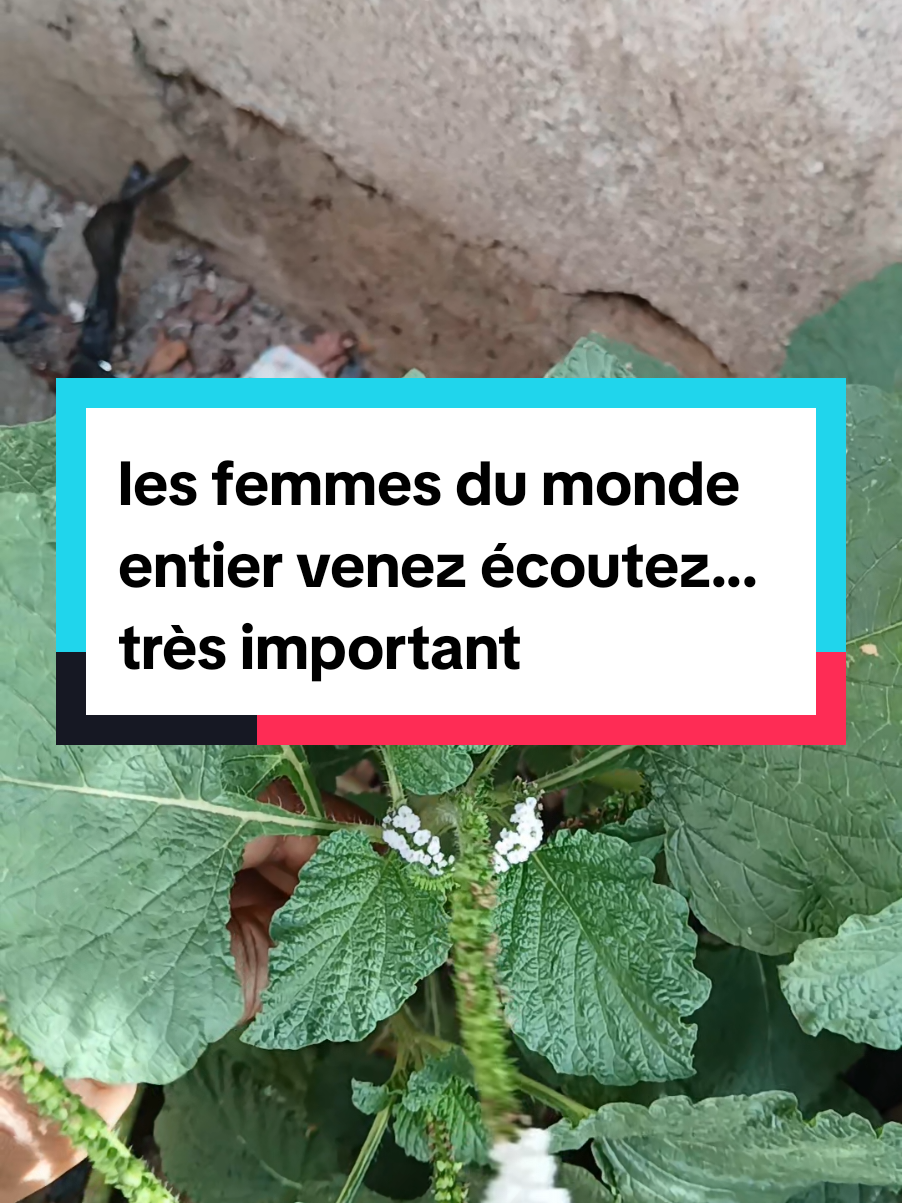 Réponse à @sofialah4 #pourtoiiiiiiiiiiiiiiiii #Afriques #monde #tiktok les femmes venez hooo écoutez attentivement 
