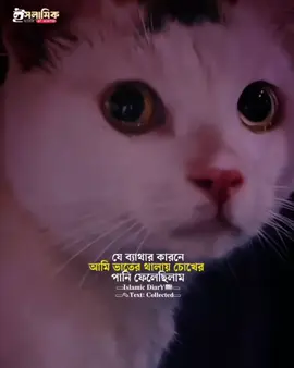 🙂💔!! #islamic_diary3 #alaminofficial2 #alaminofficial0 #islamic_status #islamic_video #ইসলামিক_ভিডিও #quran #allah #হাদিস #মুসলিম 