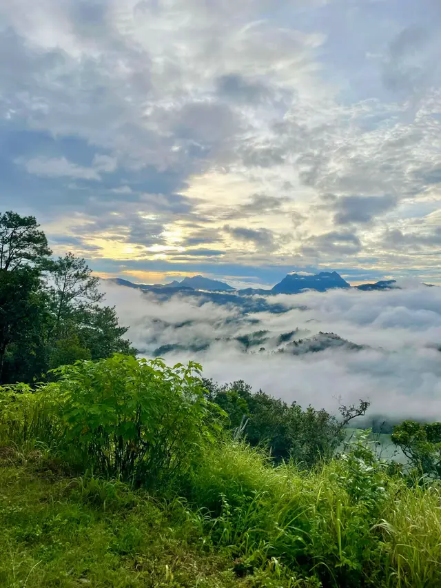จุดชมวิวเด่นทีวี มองเห็นดอยหลวงเชียงดาวด้วย📸🌿🌥️⛰️#ธรรมชาติบําบัด #ดอยหลวงเชียงดาว #เมืองคอง #ฟีดดดシ 