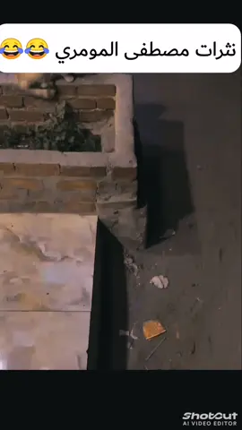 نثرات مصطفى المومري 😂😂😂 #الشعب_الصيني_ماله_حل😂😂  #مصطفى_المومري_😂 #ريكشانات_مصطفى_المومري  #تشتي_تضحك_شاهد_المقطع😂😂 #تشتي_تضحك_شاهد_المقطع😂😂 