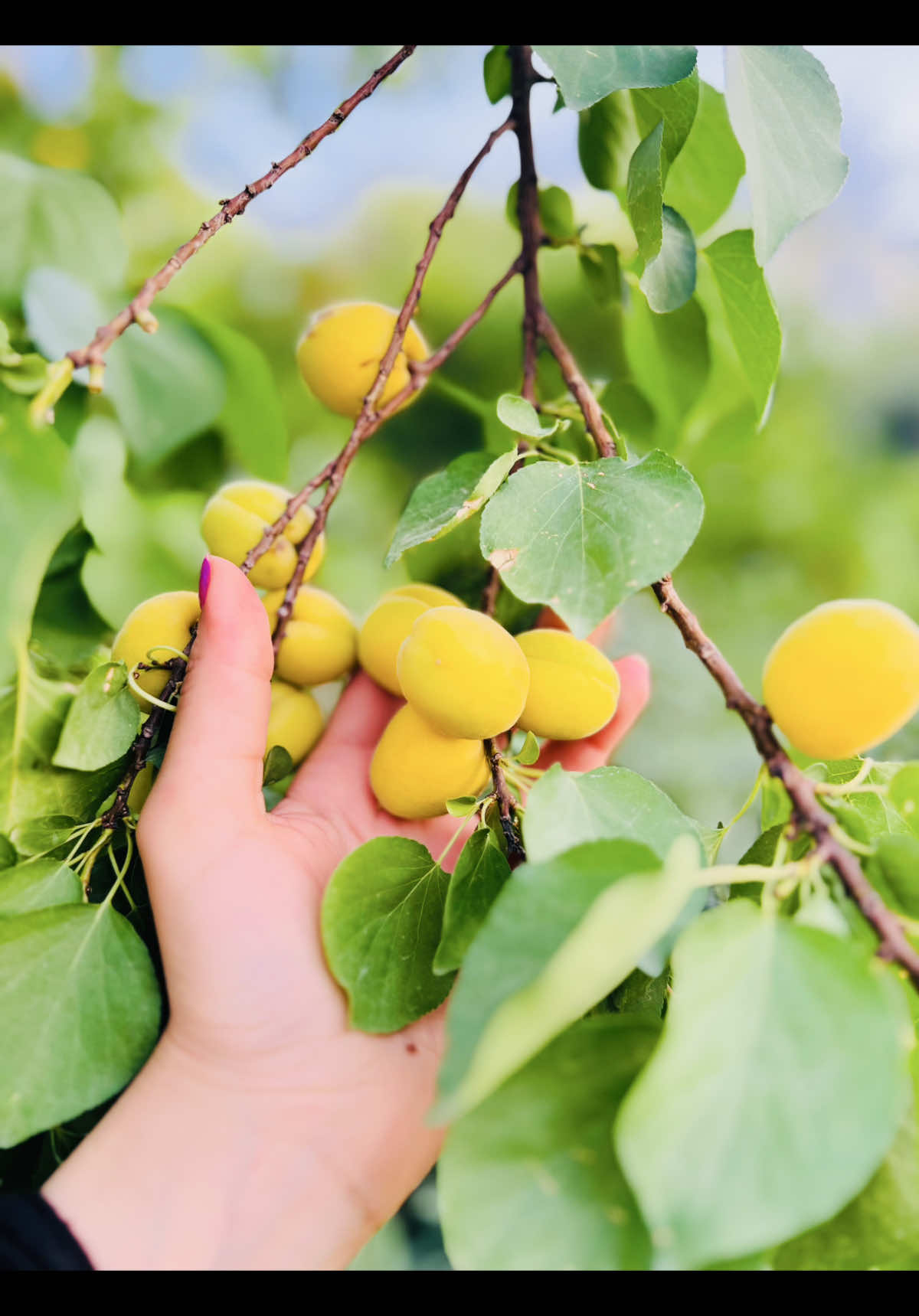 ‏كُل شخص يراك بعينِ طبعه فلا تنتظر  من الخبيث أن يراك نقي .#😅🤣 