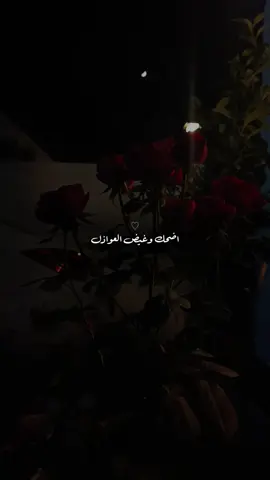 #اضحك_وغيض_العواذل_جعل،مايضحك،ســـواك #العراق🇮🇶 #_السعوديه_الاردن_الخليج #CapCut  #اكسبلورexplore  #الشعب_الصيني_ماله_حل😂😂#مشاهير_تيك_توك .  .  .  .  .  .   