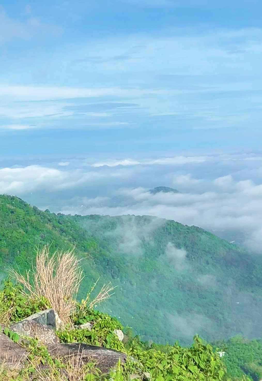 Đẹp như Bồng lai tiên cảnh #sanmay #sanmayangiang #chill #cảnhđẹp #chillnuirung #xuhuong #xuhuongtiktok #angiang 