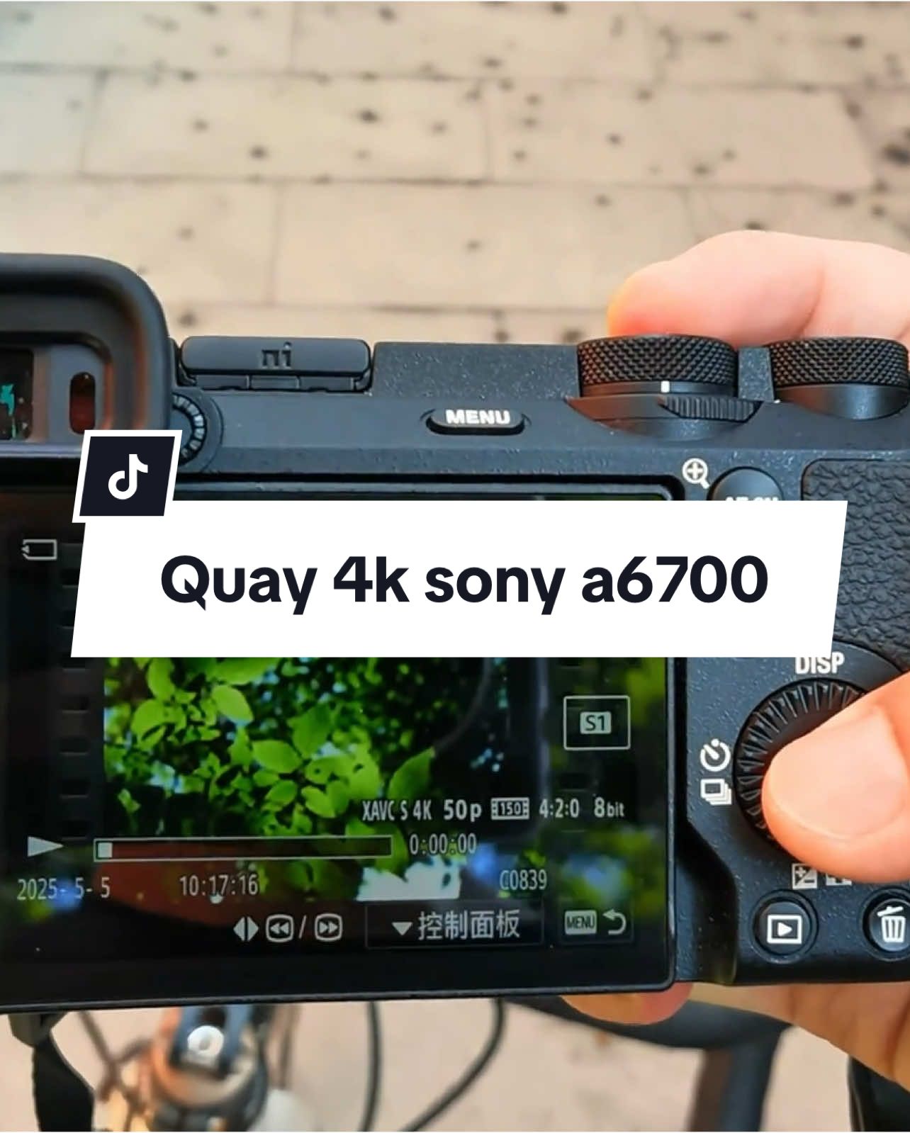 Quay 4k sony a6700 #sony #mayanh #chupanh #photography #cachchupanhdep #tiktokgiaitri #xuhuong #viral 