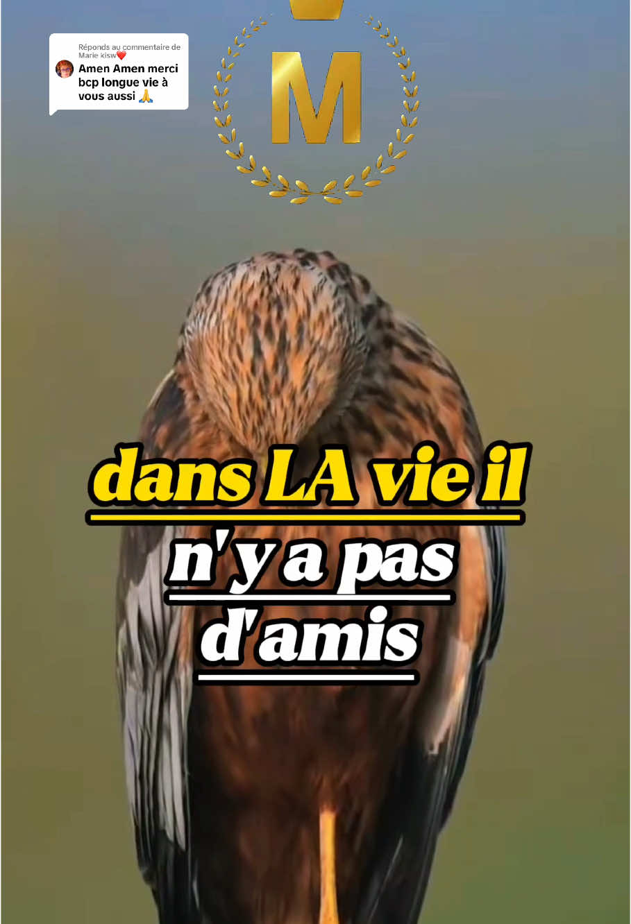 Réponse à @Marie kisw❤️ dans la vie il n’y a pas d’amis #motivation #citation #conseil 