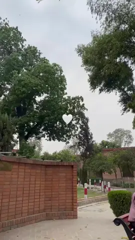 No bad vibes!🫠❤️ #fyyyyyyyyyyyyyyyy #fyp #peshawar #viral #aesthetic #edwardescollegepeshawar 