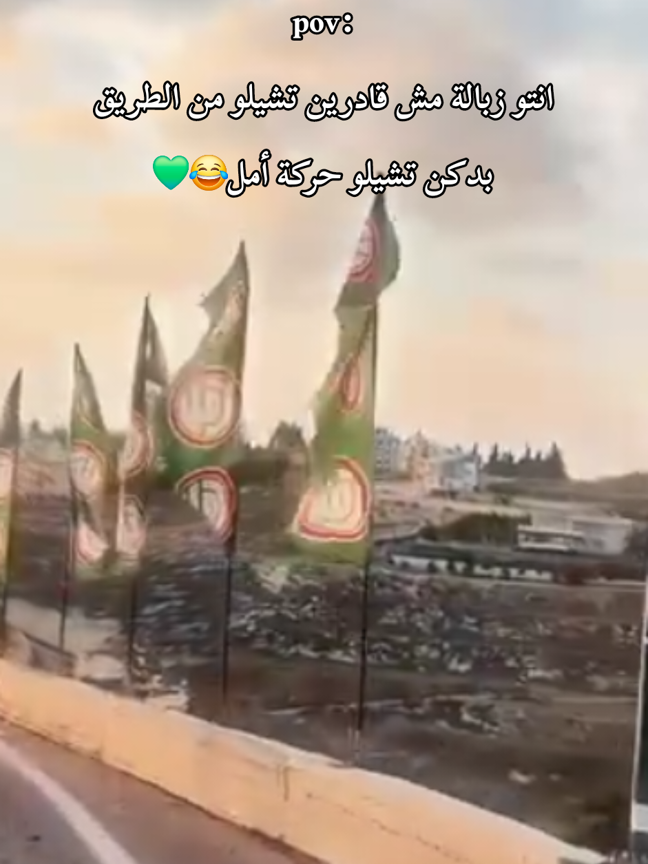 😂💚#CapCut #fyp #foryou #foryoupage #tiktok #viral #like #حركةأمل💚💚 #نبيه_بري #السيدموسىالصدر💚 ##الشعب_الصيني_ماله_حل😂😂 