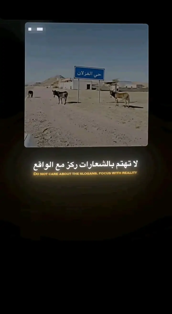 #مقولات_وحكم_ونصائح 