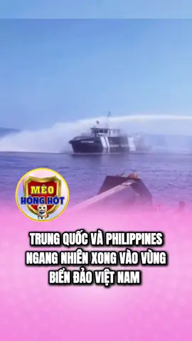 hay vậy quá #meohonghot #xuhuongg #chinhtri #thoisu #quansu #quandoinhandanvietnam 