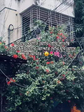 “প্রথম দেখাতে আমি প্রেমে পড়েছি তোমার দুই চোখে আন্দার দেখি ঘুম আসে না আমার !