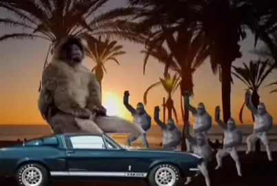 fast and monkey #humor #viral_video #tik_tok #fyp 