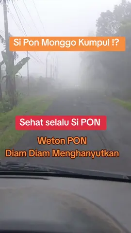 #ypppppppppp 