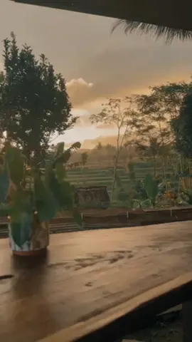Mencari Keheningan untuk mengistirahatkan kebisingan di dalam kepala, menikmati suasana di temani secangkir kopi hangat. #kabingah #coffee #tea #food #nature #alam #sukabumi #jawabarat 