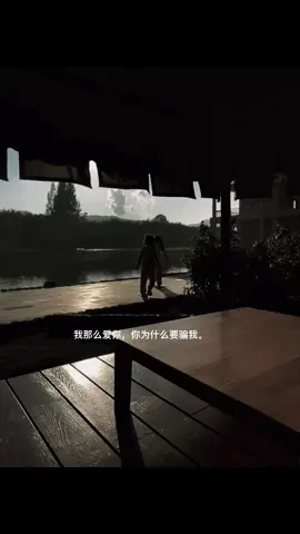 我那么爱你，你为什么要骗我。#文案 #感情 #伤感 