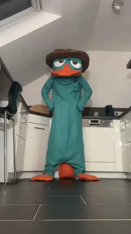 Let’s goooo #perry #perrytheplatypus #mood #vibes #cosplay #costume #selfmade #germany 