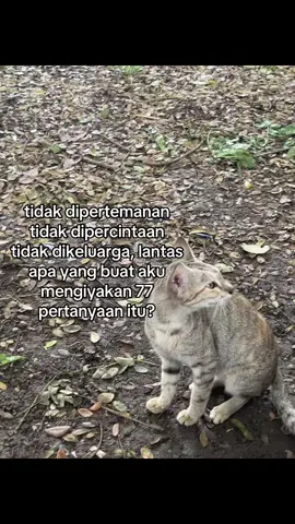 hancur lenih mudah dari bertahan-Nadin Amizah #quotes #sad #fyp 